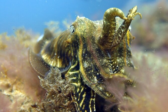 Scuba Diving Experience for Beginners in Gran Canaria - Time on the Clock: What a 3-Hour Experience Feels Like