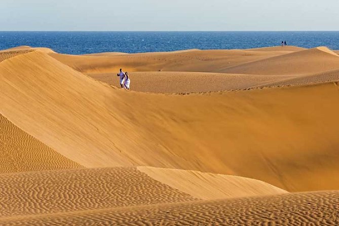Segway Experience 1 hour Sightseeing Tour : Visit Maspalomas Dunes, Playa Ingles - Stop 2: Reserva Natural Especial de Las Dunas de Maspalomas