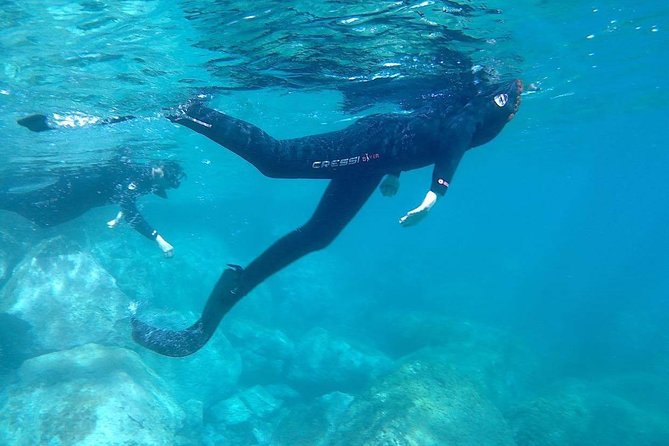 Snorkeling in Gran Canaria with Hotel Pick-up - Kids, Teens, and Adults: Who This Trip Works For