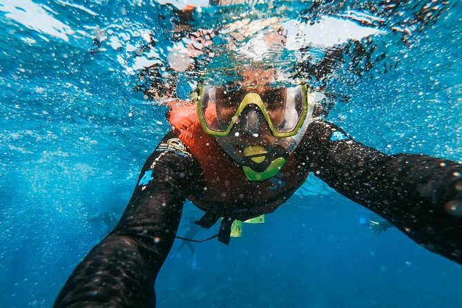 Snorkeling in Gran Canaria with Hotel Pick-up - The 8:00 am Flow: Pick-up, Wetsuit Fitting, and a Real Briefing