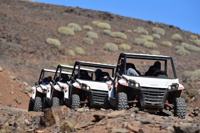 South Gran Canaria Buggy Tour - Key highlights to know before you go