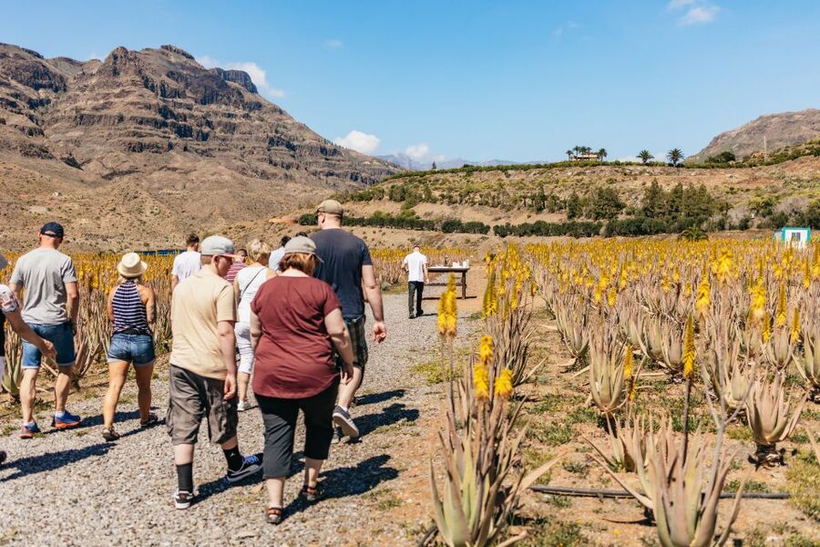 South Gran Canaria: Off-Road Valleys & Villages Jeep Tour - Key takeaways before you go