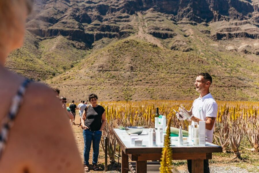 South Gran Canaria: Off-Road Valleys & Villages Jeep Tour - Mirador Astronómico and the Final View Hit at Las Moscas