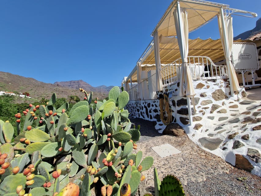 Spanish Cured Meats & Wine Tasting Tour in Mogan - Key highlights you’ll remember