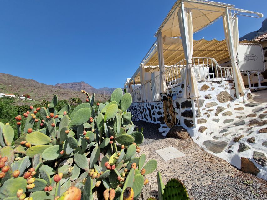 Spanish Cured Meats & Wine Tasting Tour in Mogan - Homemade bread and premium olive oil: the pairing you should not skip