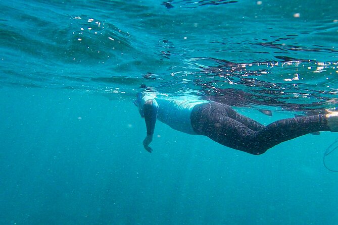 Stand Up Paddle and Snorkeling Tour of Gran Canaria with Transfers south area - Entering the day: Gran Canaria at 9:00 am, with transfers
