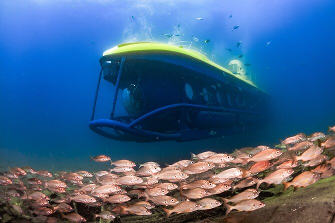 SUBMARINE ADVENTURE - Submarine Excursion in Puerto de Mogán - Key Things That Make This Submarine Trip Worth It