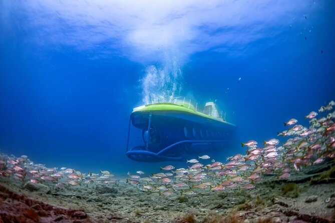 SUBMARINE ADVENTURE - Submarine Excursion in Puerto de Mogán - Getting Onboard at Puerto de Mogán: Quick, Local, and Easy to Find