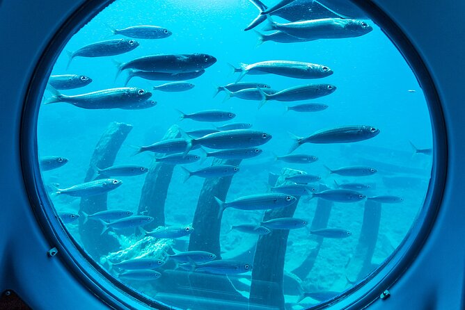 SUBMARINE ADVENTURE - Submarine Excursion in Puerto de Mogán - Audio Guides in 9 Languages: How to Use the Headphones