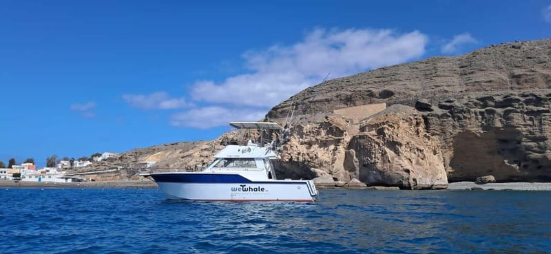 Sunset Dolphin Watching Tour on Hybrid Boat in Small Group - Meet Skipper Víctor and Biologist Paula