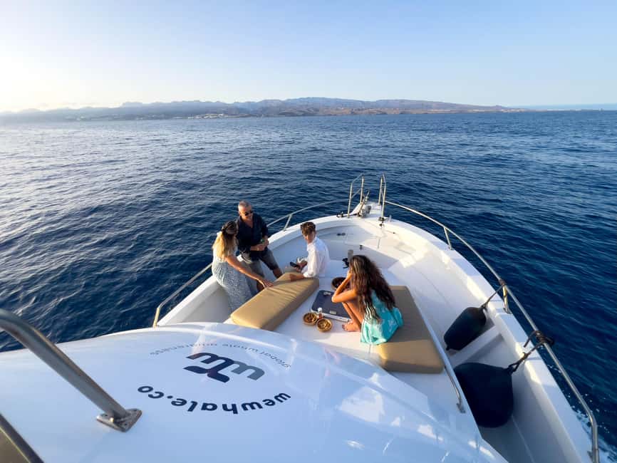 Sunset Dolphin Watching Tour on Hybrid Boat in Small Group - The 2.5-Hour Flow: From Harbour to Sunset Waters