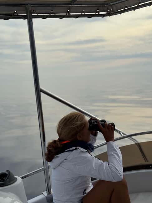 Sunset Dolphin Watching Tour on Hybrid Boat in Small Group - Who Should Book This Tour (and Who Should Skip It)