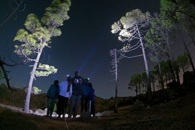 Sunset Hike and Stargazing Experience in Roque Nublo Mountains - Forest Hike With Geology Lessons Above the Clouds
