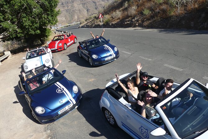 Sunset Tour in Beetle Convertible West Coast - Stop 3: Puerto de Mogán, the Little Venice port visit