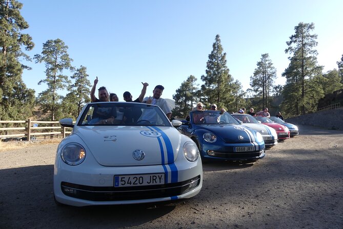 Sunset Tour in Beetle Convertible West Coast - Who should book this Beetle sunset tour (and who might want something else)