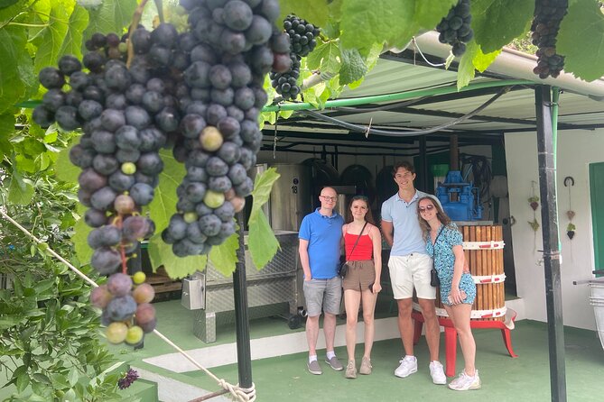 Taste Gran Canaria's unique wines - The guide makes it: Mase’s island-and-wine storytelling