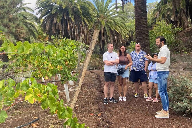 Taste Gran Canaria's unique wines - Who should book this wine tour