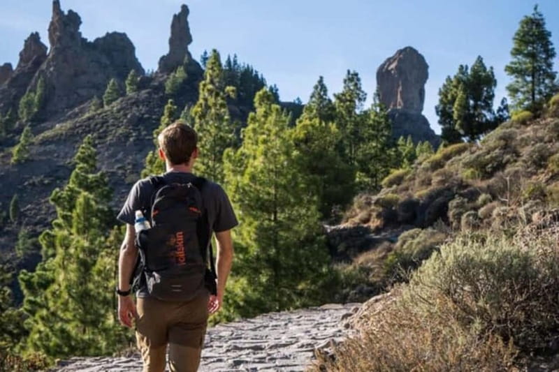 Tejeda: Roque Nublo Base Camp Xperience: Hike, Picnic & More - Base-camp mode in hammocks: where the day turns relaxing