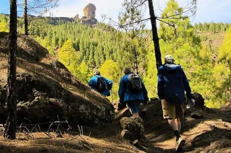 Tejeda: Roque Nublo Base Camp Xperience: Hike, Picnic & More - Permissions and limited access: why the “logistics” are part of the value