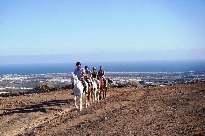 The Best Horse Riding Experience in Gran Canaria (1 hour) - The scenery stops: Maspalomas views and famous dunes