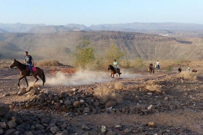 The Best Horse Riding Experience in Gran Canaria (1 hour) - What you actually do during the ride (and what to expect)