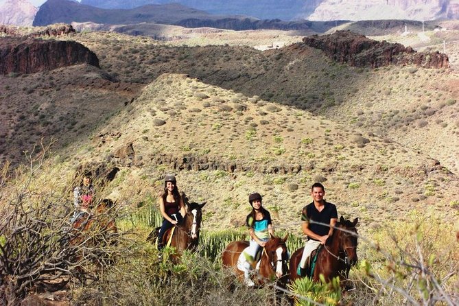 The Best Horse Riding Experience in Gran Canaria (1 hour) - Price and value: why $43.14 can make sense here
