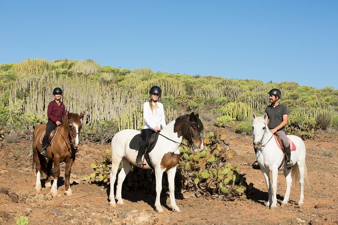 The Best Horse Riding Experience in Gran Canaria (2 hours) - Horses, terrain, and animal care you can actually sense