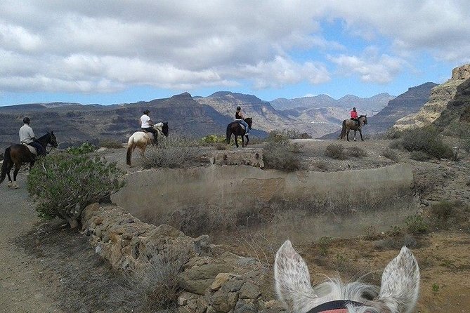 The Best Horse Riding Experience in Gran Canaria (2 hours) - How they match riders and horses by ability