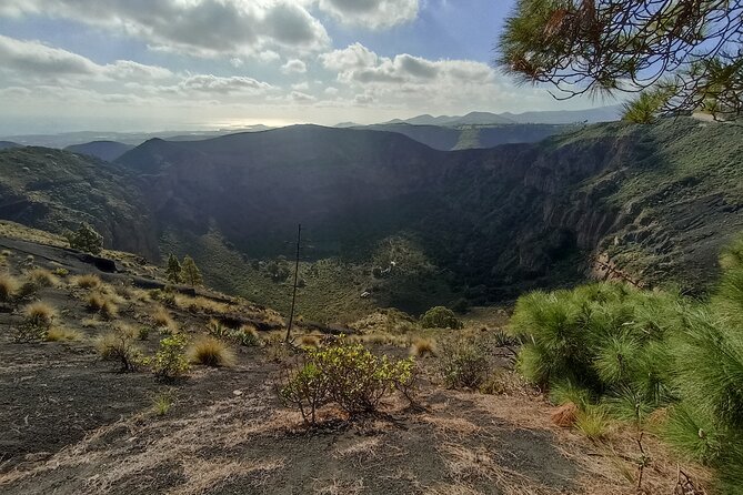The best of Gran Canaria: 4 Hours Private Cruise Tour - Why This 4.5-Hour North-Gran-Canaria Route Feels Just Right