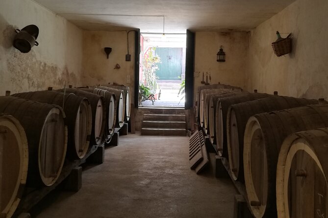 The best of Gran Canaria: 4 Hours Private Cruise Tour - Bodega San Juan & Museo del Vino: The Wine Lesson You Can Actually Use
