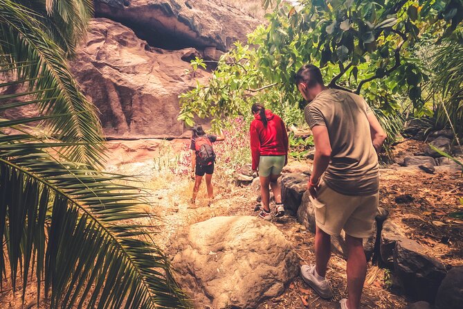 The Red Canyon Tour - Small Group Trip with Local Food Tasting ツ - La Fortaleza de Ansite: Caves, Volcanic Setting, and a Short Walk You Can Manage