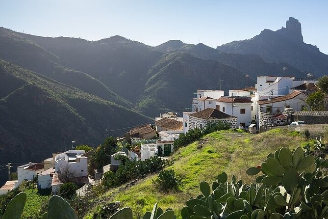 Tour to Guayadeque, Firgas, Fataga - VIP - Valleseco lunch break: an optional meal with real value