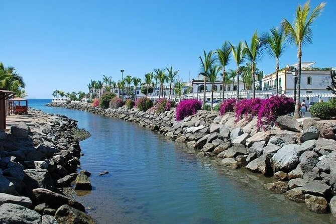 Visit Puerto de Mogan and Its Market with One Way Boat Ride - Price and value: what $39.32 buys you (and what it doesn’t)