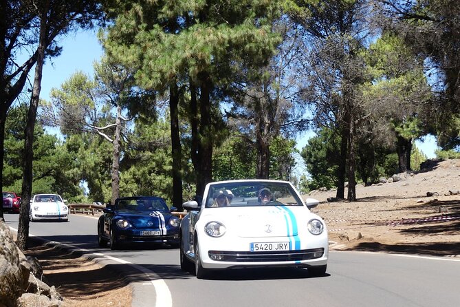 Vw Beetle Convertible Island tour Discover the island on a different way - Why This VW Beetle Convertible Tour Feels Different