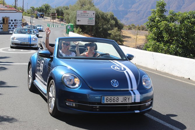 Vw Beetle Convertible Island tour Discover the island on a different way - Stop 5: Finca Canarias Aloe Vera for a Real Look at the Plant