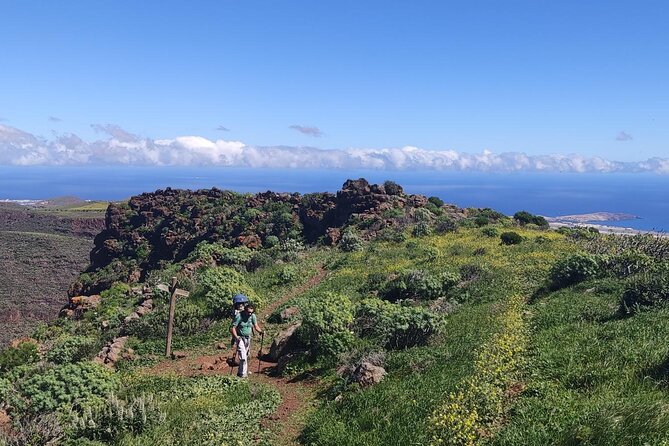 Wanderungen im grünen Gran Canaria - Why Friday Flower Hikes Work in Gran Canaria