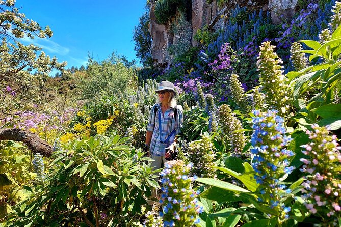 Wanderungen im grünen Gran Canaria - Sofie’s Guiding Style: Stories That Make the Walk Click