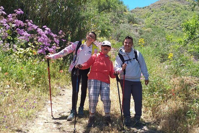Wanderungen im grünen Gran Canaria - The Spring Bloom You’ll Be Aiming For (Jan–May)