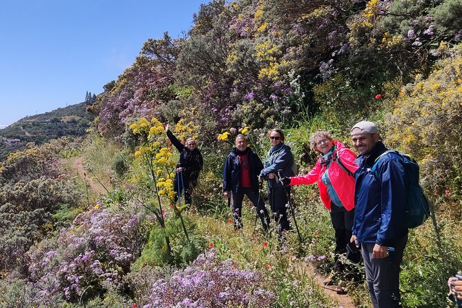 Wanderungen im grünen Gran Canaria - Price and Value: Is $75.24 Fair for a Guided Day?