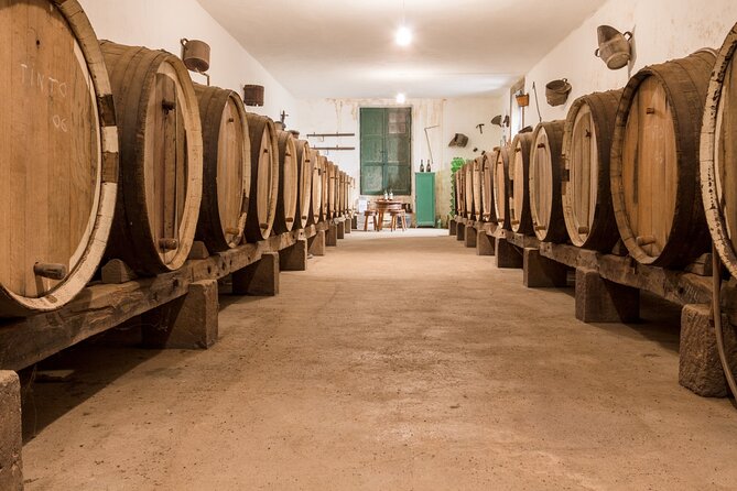 Winery Tour, Wine Museum, and Tasting in Gran Canaria - What happens on the vineyard walk and why it matters